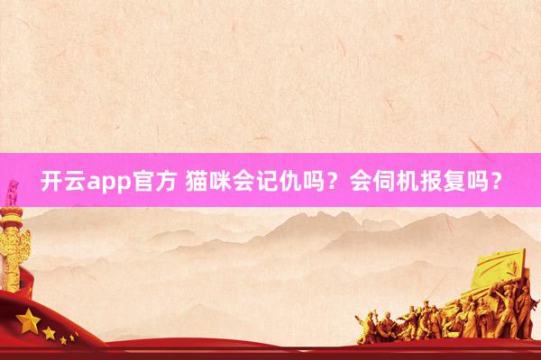 开云app官方 猫咪会记仇吗？会伺机报复吗？